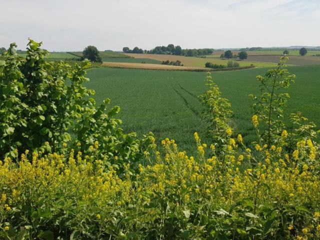 Boslucht Leuven Bed & Breakfast Heverlee Bagian luar foto